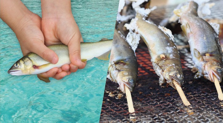 【空庭温泉】天空庭園～鮎のつかみ取り&塩焼き広場・線香花火～