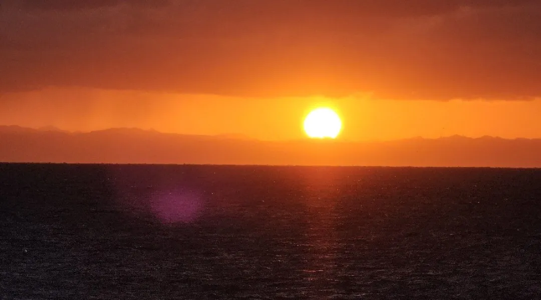 「初日の出クルーズ」 2026年1月1日（木・祝）元旦限定で運航