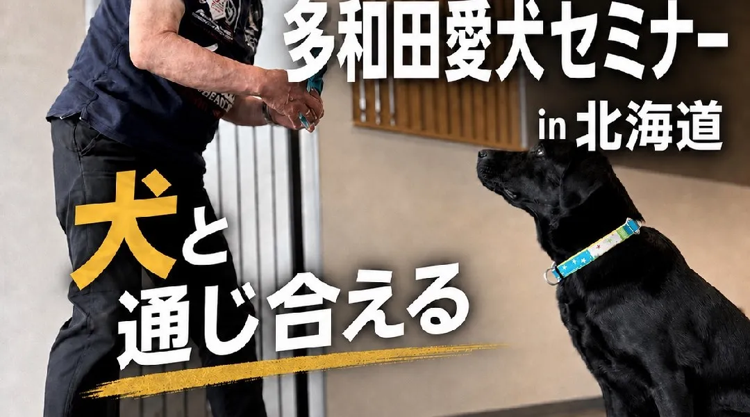 多和田愛犬セミナー in 北海道｜盲導犬クイールの訓練士から学ぶDog Education