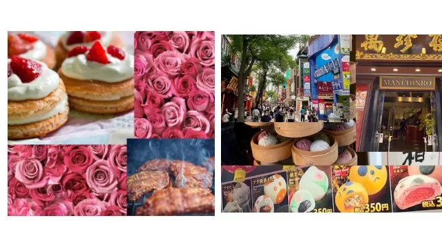 【桜木町 横浜】中華街散策★楽しい美味しい食べ歩き♪バラの綺麗な港の丘公園にも行く予定です★集合場所 集合場所　ＪＲ桜木町駅　新南口改札出た付近