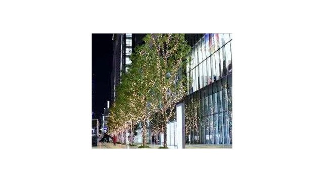 人々が「喜び輝く」明るいクリスマス。「FOOD TEXTILE(フードテキスタイル)」がもつ、自然由来の色彩で輝くツリーが登場。ＫＩＴＴＥ名古屋が贈る“DELIGHT CHRISTMAS”開催