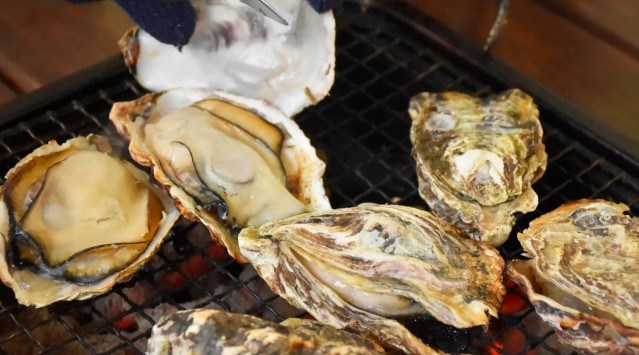 「伊豆高原 旅の駅 ぐらんぱるぽーと」にて、『かき祭り』を開催！「炭火焼海鮮バーベキュー かき大将」で旬の味覚を味わおう！広島県江田島産の牡蠣を毎日産地直送　株式会社伊豆シャボテン公園