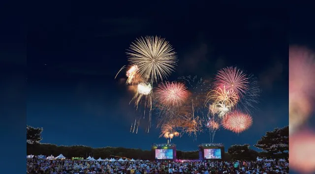 rockin'star Carnival(ロッキンスター・カーニバル) 花火大会2025 茨城県ひたちなか市 国営ひたち海浜公園 - 日程・穴場・打ち上げ時間 - 花火大会 夏祭り