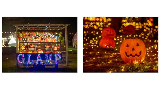 【グランドーム伊勢賢島】がお届けする「Halloween Night Party2025」開催のご案内 ご宿泊様限定！グランドーム伊勢賢島の「Halloween Night Party2025」