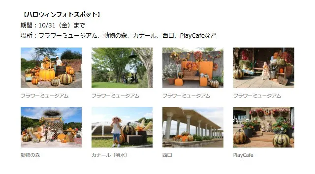 ハロウィンフォトスポット登場【国営海の中道海浜公園】一般財団法人 公園財団　Parks Japan.F