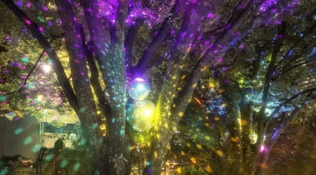 年末年始の西新宿を最先端アートイルミネーションが彩る!「Shinjuku Neon Walk」開催！！東京ナイトタイム魅力創出プロジェクト実行委員会　PR事務局