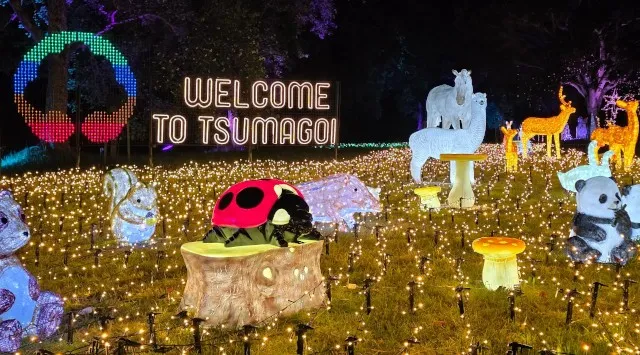 【つま恋リゾート彩の郷】 ～幻想的な童話の世界へ～ つま恋イルミネーション ～もりのさんぽみち～ ★11月22日より開催プレオープン期間：2025年11月17日▶21日 は割引入場券販売