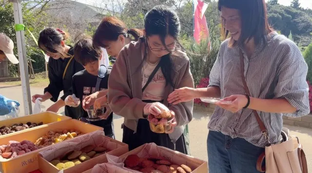 やきいもの楽しみ方日本一！10種類の熟成された甘～いおいもをほくほく食べ比べ。おいもづくしの５日間「やきいもまつり2026」開催！白ハト食品工業株式会社 白ハト食品工業株式会社