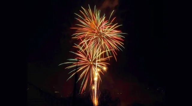 老神温泉節分祭・冬の花火 花火大会2026 利根老神多目的広場付近 群馬県沼田市利根町老神 - 日程・穴場・見所・打ち上げ時間 - 花火大会 お祭り