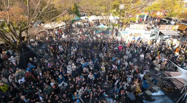 【代々木公園】入場無料で楽しむ春の祭典「春風」が今年も開催。楽・アート・食が交差する2日間