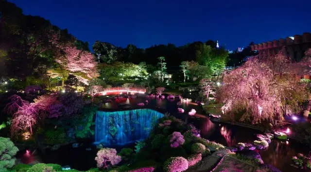 2月から“桜解禁”！どこよりも早いお花見をホテルニューオータニで。美食と美景に酔いしれる春。宿泊者には、桜名所を人力車で巡る“今しかできない”体験も！株式会社ニュー・オータニ