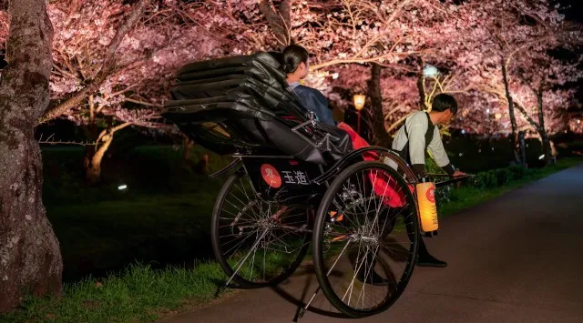 【界 玉造】温泉街に咲く約400本の桜並木を愛でる「桜舞うたまゆら滞在」今年も開催～今年は「夜桜人力車」乗車後に、川沿いの桜並木を独り占めする「夜桜日本酒BAR」が新登場～星野リゾート