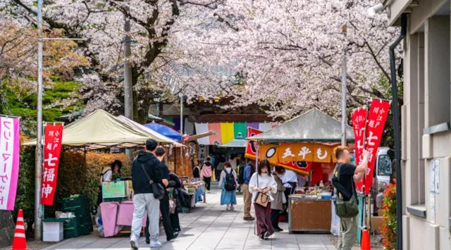 【小江戸川越】3/28 春まつり開幕。桜咲く一番街が江戸に染まる1日と、至福の「足湯喫茶」体験　【池袋から最短30分】忍者も登場する小江戸川越で、春まつり開幕。株式会社アミナコレクション