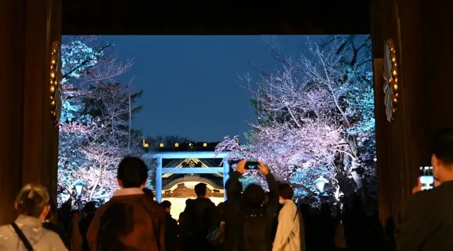 【桜咲く靖國神社】お花見は東京・九段の靖國神社へ。この春は桜咲く靖國神社へ。夜桜詣や奉納行事などこの時期だけの催し物をご紹介　靖國神社