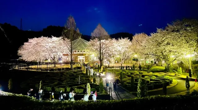 群馬の山間に現れる“現代の桃源郷”。1,000本の花桃が丘をピンクに染め上げる「花桃の丘まつり」開催　中之条ガーデンズ