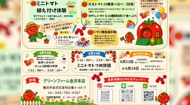 これ、本当にトマト！？話題の「ポマト（ジャガトマ）」が横浜に登場。横浜グリーンファームで見て・食べて・体験する「トマトフェス2026」開催！株式会社グリーンファーム