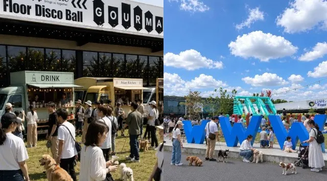【6月21日 開催】TEEスペシャルライブ＆幻想的なナイトランタン。父の日に“ありがとう”を伝える体験型フェス『WHATAWON FATHER'S DAY LIVE』株式会社antiqua