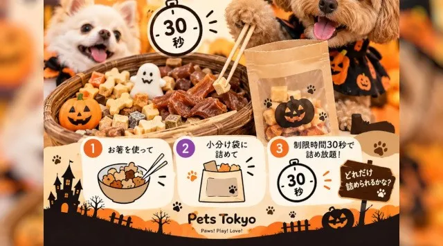 【Pets Tokyo豪徳寺1号店】Trick or Treat おやつ詰め放題を開催します！＼ 制限時間は30秒 ／オリジナルおやつをお箸で詰め放題　Lehman Hodings