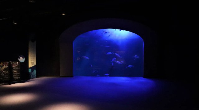 夜の水族館開催！『Nightscape(ナイトスケープ)こがねいろ2022』7/23（土）～8/28（日）は21時まで営業します 瀬戸内に沈む夕日と神秘的な夜の水族館 株式会社四国水族館開発