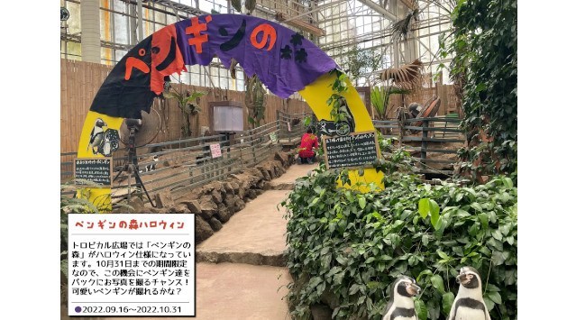 秋の伊勢シーパラダイス「ハロウィン」イベント！(9/16～10/31)距離感"ゼロ"のふれあい水族館　伊勢シーパラダイスからのお知らせ 株式会社伊勢夫婦岩パラダイス