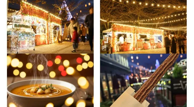 イルミネーションとダンスが奏でる、冬のファンタジー。御殿場高原 時之栖でしか見られない、心あたたまるクリスマスの夜を。きらめくイルミネーションの中、ダンサーたちが紡ぐ心温まるステージ。株式会社時之栖