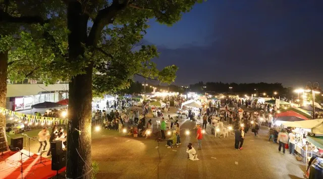 【静岡市の冬のイルミネーション・夜景をお届け】冬を彩るイルミネーションイベント「おまちハートファンタジー」が11月21日（金）より青葉シンボルロードなどで開催　静岡市