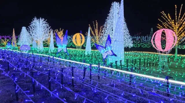 【つま恋リゾート彩の郷】 ～幻想的な童話の世界へ～ つま恋イルミネーション ～もりのさんぽみち～ ★11月22日より開催プレオープン期間：2025年11月17日▶21日 は割引入場券販売