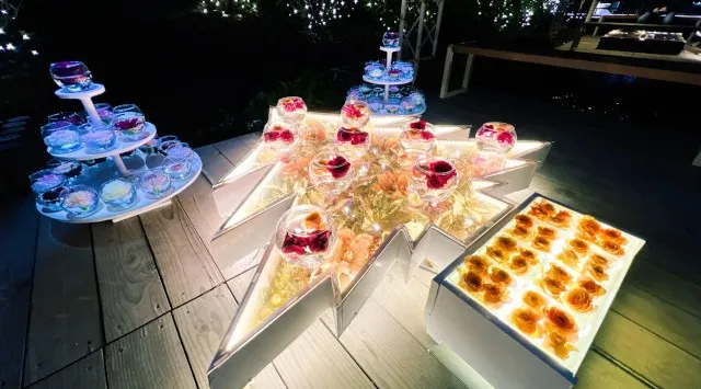 イルミネーションアワードで10年連続ランキング全国第1位『あしかがフラワーパーク』で最高のクリスマスを！2025年12月25日まで特別演出『クリスマスファンタジー』開催中！株式会社足利フラワーリゾート