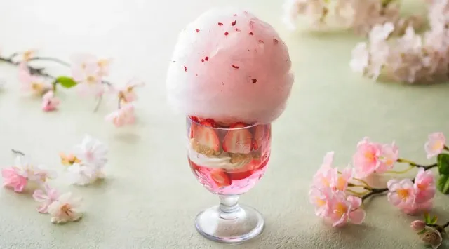 【大磯プリンスホテル】一足早く桜が彩るSPAで、心身を解き放つ“お花見ととのい体験”へ。『OISO 桜咲く季(とき) 2026』を開催　株式会社西武・プリンスホテルズワールドワイド