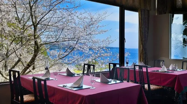 【東伊豆・北川温泉】桜の香りに包まれて整う。自家源泉かけ流しの湯 × 吉祥スパ「桜海コース」株式会社H.P.D.コーポレーション