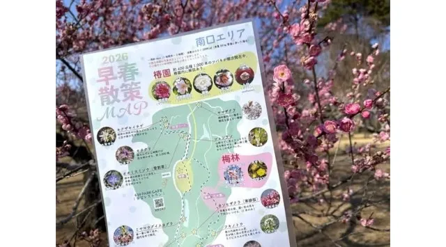 ウメ見頃を迎えました（国営武蔵丘陵森林公園）馥郁(ふくいく)たるウメの香りに春を感じる　一般財団法人 公園財団