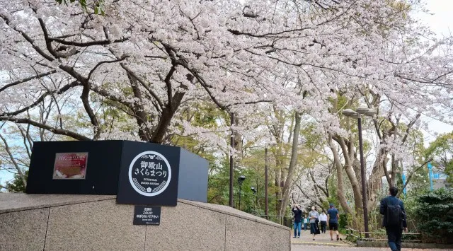 「御殿山さくらまつり2026」3/27（金）～4/5（日）開催 品川駅徒歩10分 徳川家ゆかりのお花見スポットで春を感じよう！森トラスト株式会社