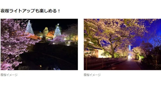 きらめく春、はじまる！5,000本の桜が咲き誇る御殿場高原 時之栖で春を感じるSpring Festival 2026開催！株式会社時之栖