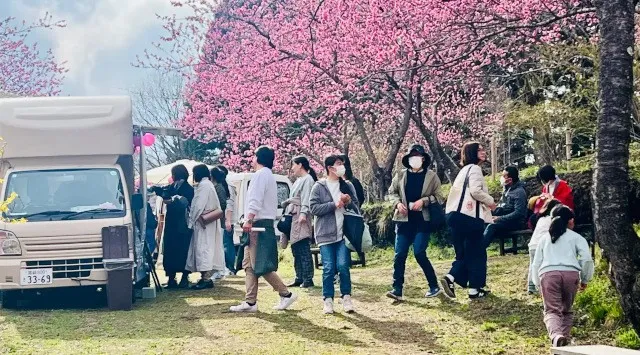 群馬の山間に現れる“現代の桃源郷”。1,000本の花桃が丘をピンクに染め上げる「花桃の丘まつり」開催　中之条ガーデンズ