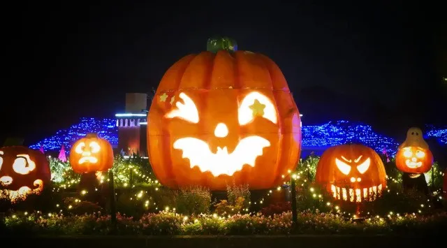 国営武蔵丘陵森林公園 中央口～植物園エリア 森のハロウィンナイト 17：00～20：30　※開園時間は9：30～20：30　エイアンドビーホールディングス株式会社
