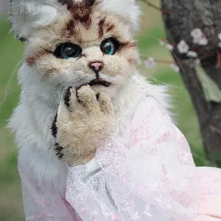 猫宮麿