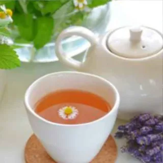 新宿御苑前 学生 国際交流パーティー : 写真