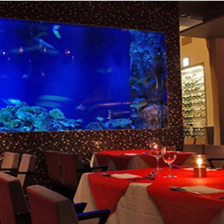 NADESHIKO：3/12 : 写真