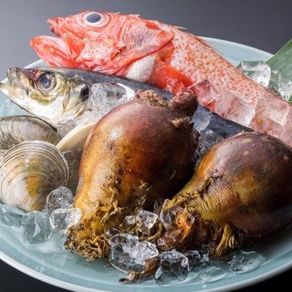 東北三陸産の海の幸 和食ランチ会 : 写真