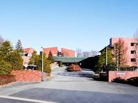 COEDOクラフトビール醸造所