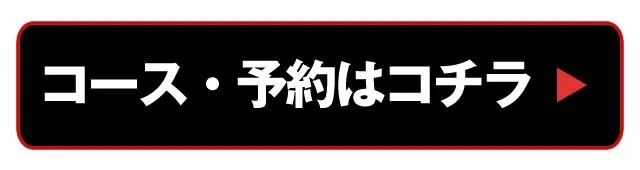 渋谷 カラオケ パレス - PALACE LUXURY KARAOKE ＆ BAR : 