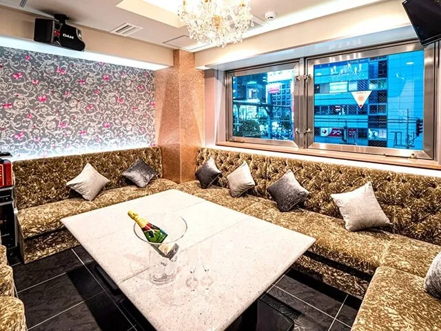 【ソファVIP席 o rVIP個室】2.5H <飲放> 人気No1★料理10品 ≪豪華パーティープラン≫ 6,500円 → 6,000円