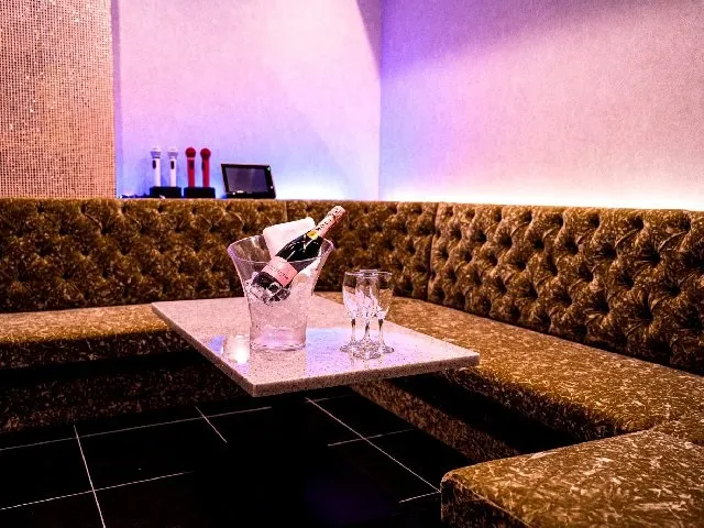 【2時間：VIP個室確約！最強カラオケプラン】歌い放題＆飲み放題付！日～木限定特別プラン！！