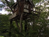 テラスカフェ&ギャラリー ツリーハウス