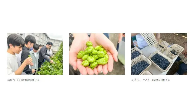 京王聖蹟桜ヶ丘ショッピングセンターで「せいせき秋のビールまつり」を開催します！京王線沿線や多摩を代表する１６ブルワリーがせいせきに集合！株式会社京王ＳＣクリエイション