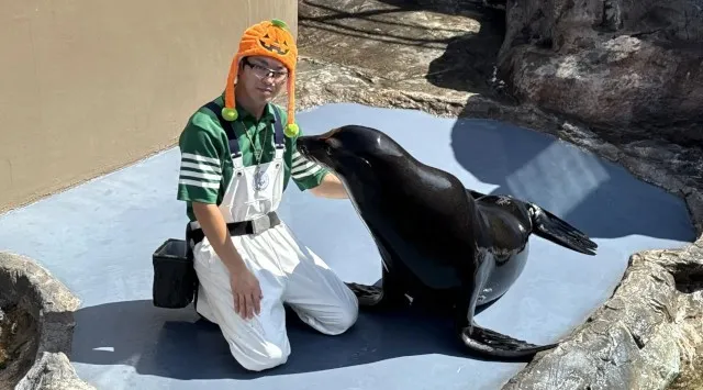 アクアワールド・大洗で２夜限定ナイトイベント「ハロウィンナイト」を、１０月１８日（土）＆２５日（土）１８：００に開催します。夜のアクアワールド・大洗で生きものたちと一緒にドキドキワクワクのハロウィン