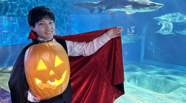 アクアワールド・大洗で２夜限定ナイトイベント「ハロウィンナイト」を、１０月１８日（土）＆２５日（土）１８：００に開催します。夜のアクアワールド・大洗で生きものたちと一緒にドキドキワクワクのハロウィン