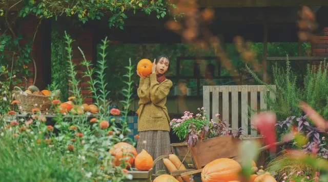 約300個の”本物のかぼちゃ"と”秋色のガーデン”が融合した人気のハロウィンディスプレイが園内各所に登場。神戸布引ハーブ園の「ハロウィンフェア2025」は「ナチュラル×可愛い」がいっぱいです。