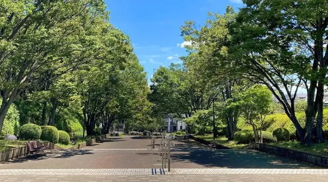 「カラダフェスin横山公園」開催のお知らせ　相模原市で初開催、地域住民の健康・交流・エンタメを融合したフェスとして実施。「食べて・動いて・観て・つながる」をテーマに子どもから大人まで楽しめる