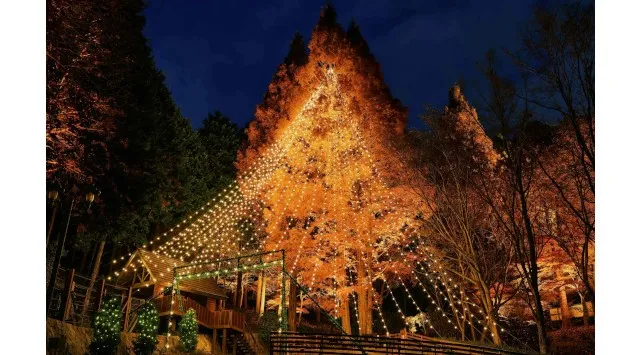 神戸クリスマスマーケット「古城のクリスマス」のシンボル「クリスマスタワー」が高さ7メートルに拡大！11/8（土）に点灯セレモニーを開催。「森のクリスマスツリー」の点灯セレモニーも同日開催。